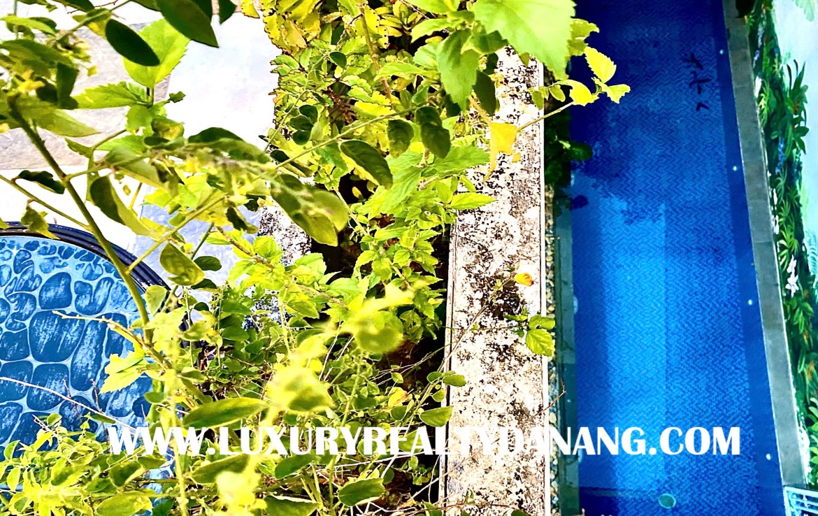 Danang villas for rent in Vietnam