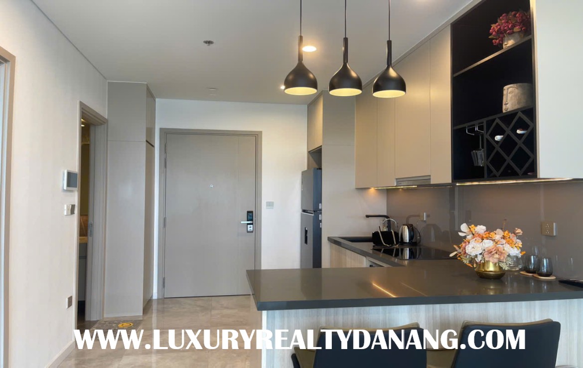 Riverview apartment rental Danang on Filmore, Hai Chau district, Vietnam, Dragon bridge view